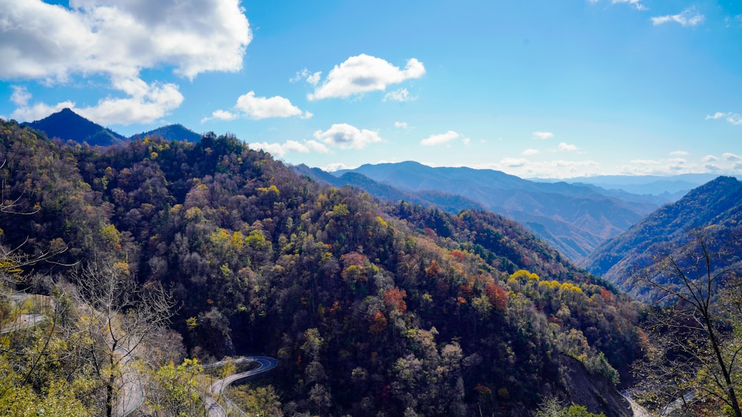 The Eco-Adventurer’s Guide to Thrilling and Sustainable Outdoor Experiences